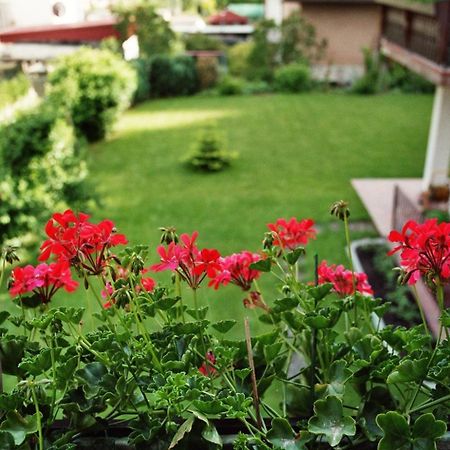 Ferienwohnungen Im Herzen Des Pfaelzerwaldes Elmstein Esterno foto
