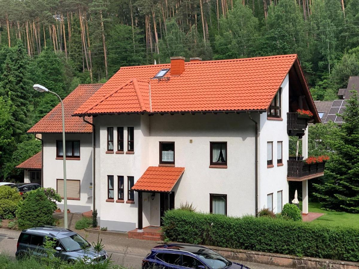 Ferienwohnungen Im Herzen Des Pfaelzerwaldes Elmstein Esterno foto