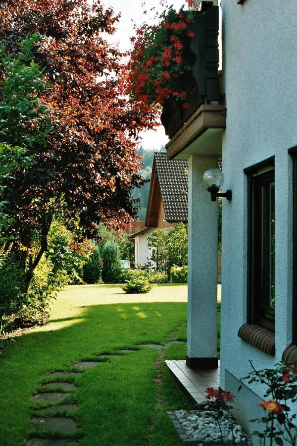 Ferienwohnungen Im Herzen Des Pfaelzerwaldes Elmstein Esterno foto