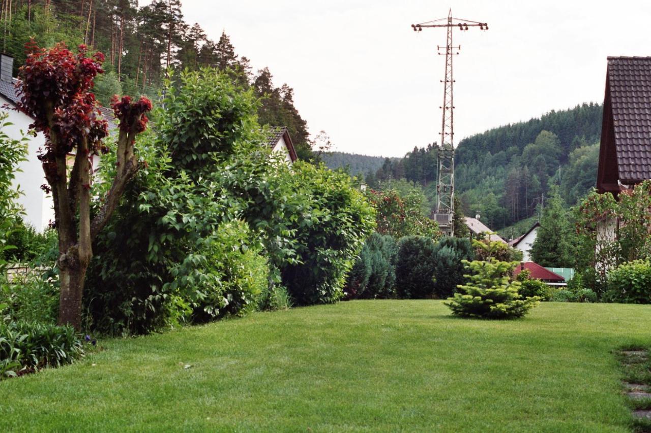 Ferienwohnungen Im Herzen Des Pfaelzerwaldes Elmstein Esterno foto