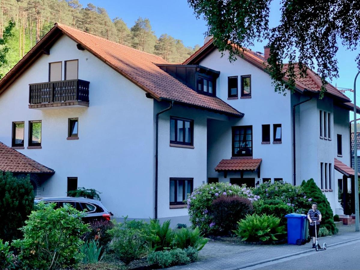 Ferienwohnungen Im Herzen Des Pfaelzerwaldes Elmstein Esterno foto