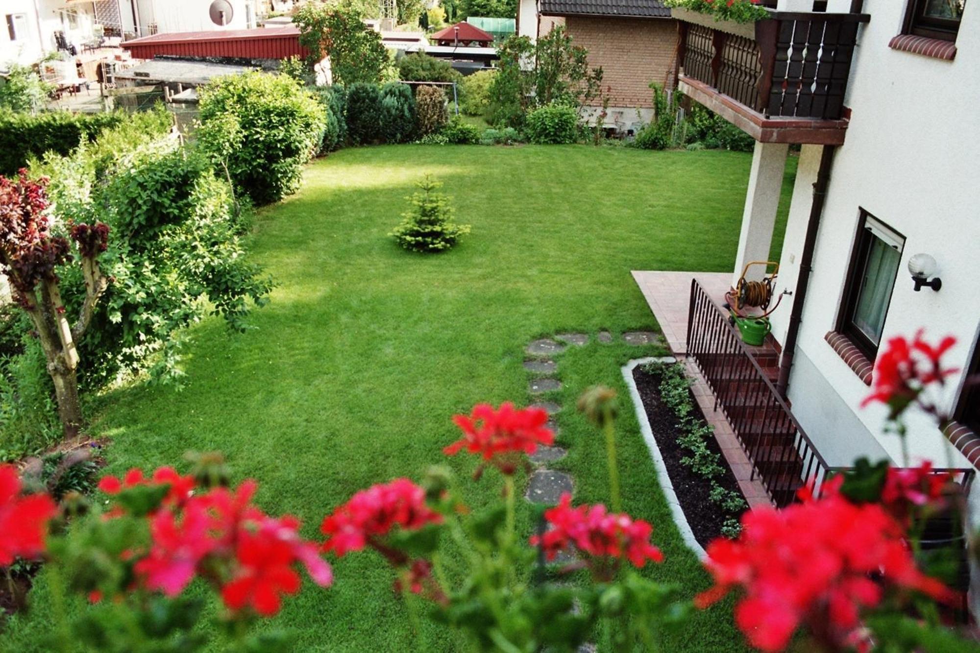 Ferienwohnungen Im Herzen Des Pfaelzerwaldes Elmstein Camera foto